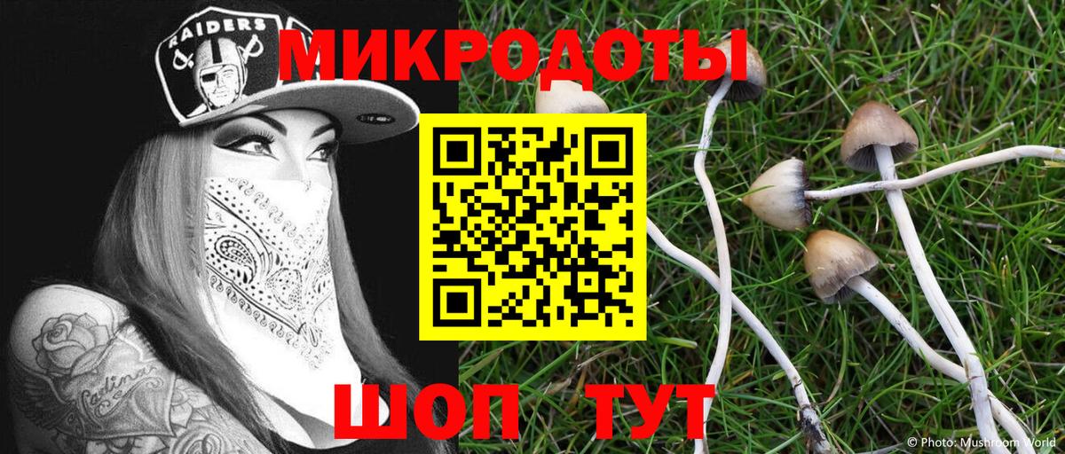 где можно купить наркотик  Псилоцибиновые грибы Psilocybine cubensis  Вход с VPN  Ржев 