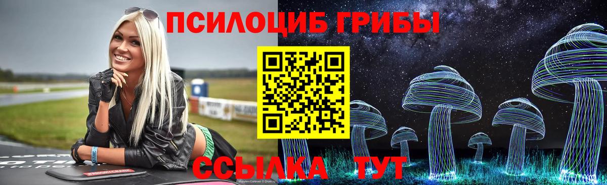 Псилоцибиновые грибы Psilocybe Ржев
